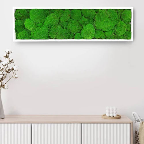 稳定植物画框 - STABILIZED 20X70 - naturall green - 天然 / 苔藓 / 室内