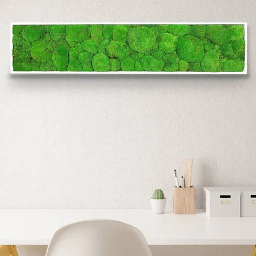 稳定植物画框 - STABILIZED 25X115 - naturall green - 天然 / 苔藓 / 室内
