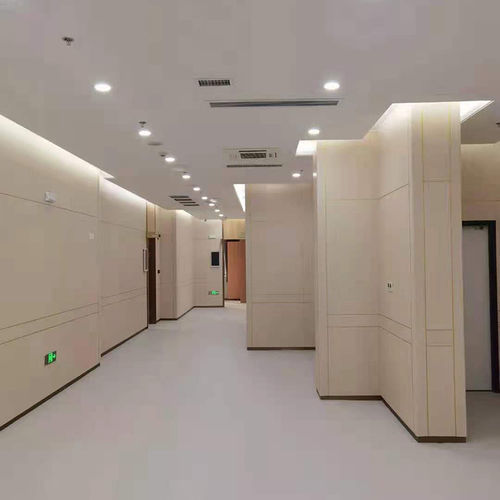 墙壁层压装饰板 - Changzhou Zhongtian Fire-proof Decorative Sheets Co., Ltd. - 室内装潢 / 用于家具 / 防水