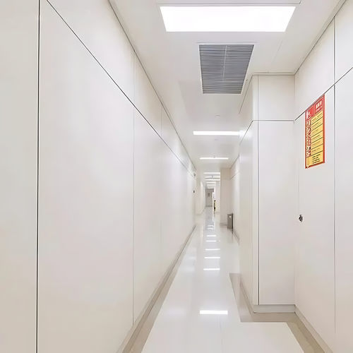 HPL砌面板 - Changzhou Zhongtian Fire-proof Decorative Sheets Co., Ltd. - 用于无菌室 / 公共机构用 / 用于室内墙