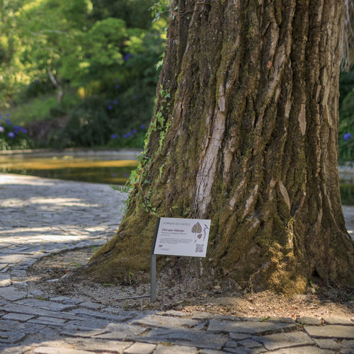 植物园标识板 - FRAME - Floema - 用于室外 / 固定式 / 电镀钢