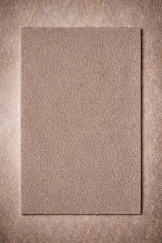 现代风格地毯 - TAUPE - Softicated - 单色 / 羊毛 / 长方形