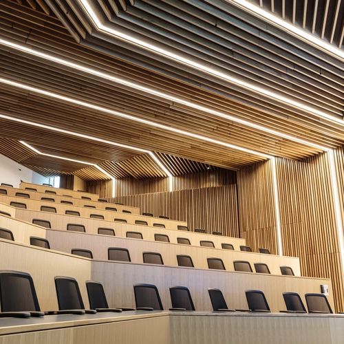 墙面隔音板 - Specialist Joinery Group - 木质 / 矩形 / 用于礼堂