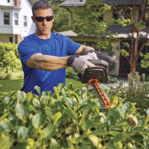 电动绿篱修剪机 - LHT341 - Black & Decker - 手持 / 手推自行式 / 轻型
