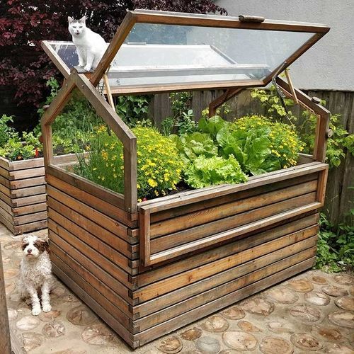 花园温室 - Gartenfrosch GmbH - 尖顶 / 落叶松木 / 冷框架