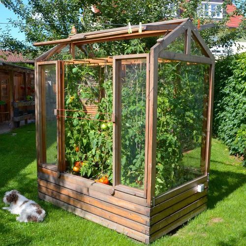 花园温室 - Gartenfrosch GmbH - 尖顶 / 落叶松木 / 双层玻璃