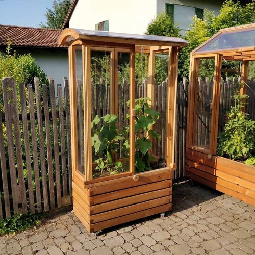 花园温室 - Gartenfrosch GmbH - 尖顶 / 落叶松木 / 番茄