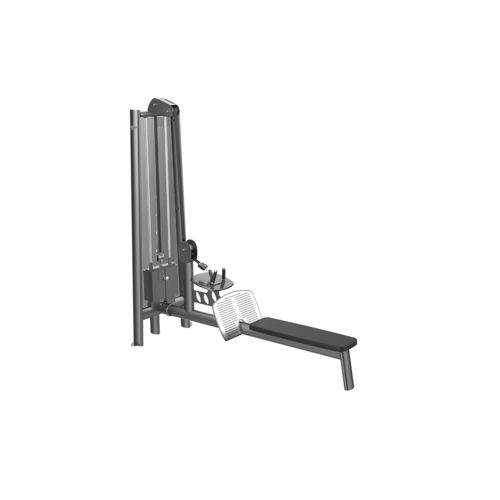 背部健身器械 - G4016 - gym80 International GmbH - 室内 / 商用