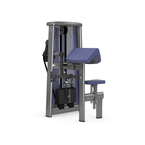二头肌健身器械 - 3010 - gym80 International GmbH - 室内 / 商用