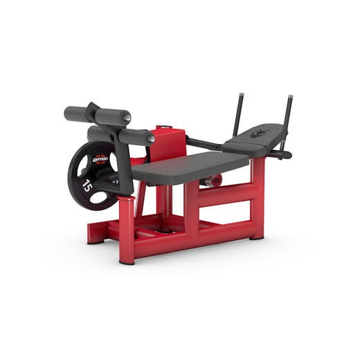 仰卧起坐健身器械 - 4307 - gym80 International GmbH - 室内 / 商用