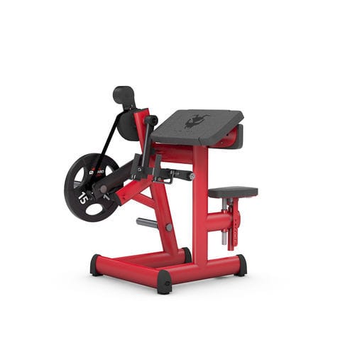 二头肌健身器械 - 4338N - gym80 International GmbH - 室内 / 商用
