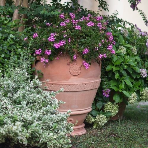 赤陶花盆 - con Rosetta Impruneta - cestenoli srl - 圆形 / 家用