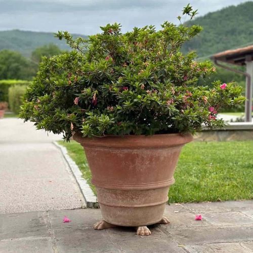 赤陶园艺花盆 - Liscio Impruneta - cestenoli srl - 圆形 / 家用