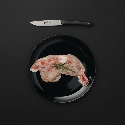 塑料柄牛排刀 - COLOR SET OF 4 BLACK - Berkel - 不锈钢刀片