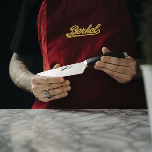 塑料柄主厨刀 - TEKNICA 15 BLACK - Berkel - 不锈钢刀片
