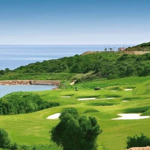天然草坪 - Bermuda Latitude36 - Novogreen - 卷式 / 用于运动场 / 用于花园