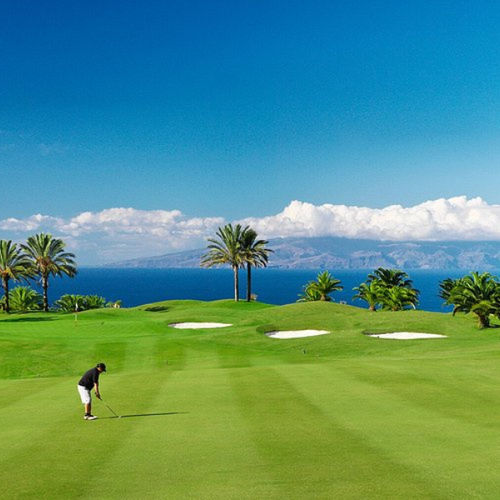 天然草坪 - Paspalum PlatinumTE - Novogreen - 卷式 / 用于公共空间 / 用于花园