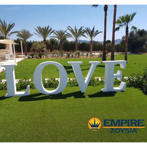 天然草坪 - Zoysia Empire - Novogreen - 卷式 / 用于花园 / 用于公共空间