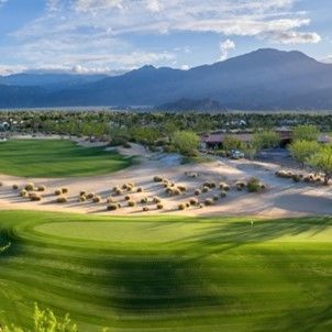 天然草坪 - Bermuda ultradwarf TifEagle - Novogreen - 卷式 / 用于运动场 / 体育活动用