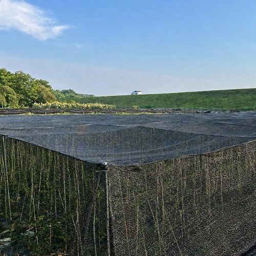 聚乙烯遮阳网 - Zhejiang Hengfeng Shanding Products Co., Ltd. - 建筑物
