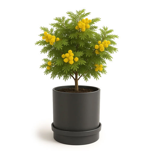 金属花坛 - ARES - LL53 - 环形 / 高强度 / 管状