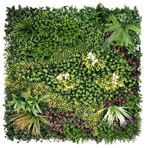 复合陶瓷绿植墙 - AMAZONE - Le Gazon de Manon - 模块化板 / 树叶 / 室内