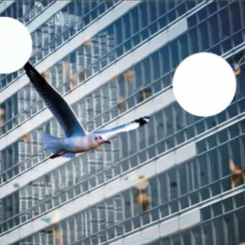 太阳能控制式玻璃板 - 4BIRD&reg; - Saint Gobain Glass France - 绝缘 / 隔热 / 太阳能