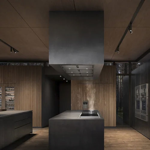 悬挂式吸油烟机 - AC402181 - GAGGENAU - 嵌入式 / 带管道 / 内置照明