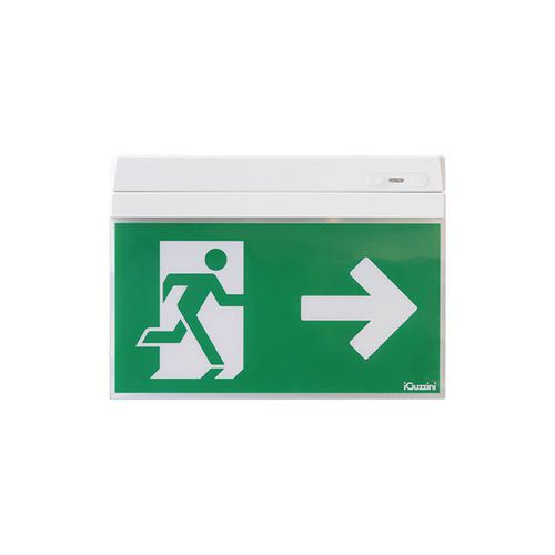 天花板逃生灯 - MOTUS PICTOGRAM - iGuzzini - 壁挂 / 暗装 / 长方形