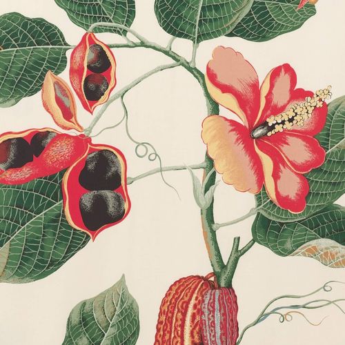 现代风格墙纸 - NAKAI  - PIERRE FREY tissus - 棉质 / 印花 / 印花