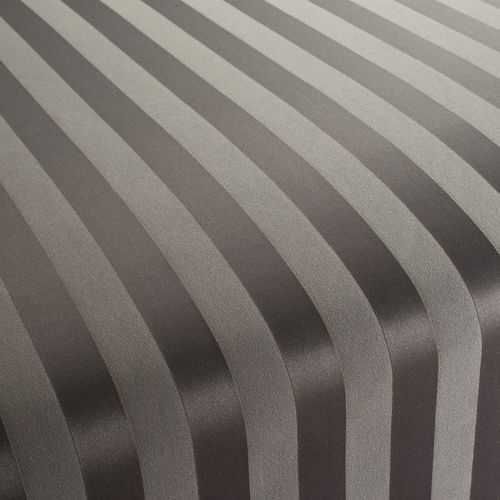 室内装饰面料 - PIMLICO EDITION - JAB ANSTOETZ FABRICS - 条纹 / 聚酯 / 可水洗