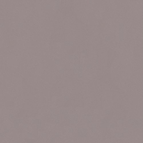 单色装饰层板 - PEARL ARGENT - Polyrey - 磨砂 / HPL / 高强度