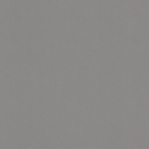 单色装饰层板 - BROSSÉ GRIS - Polyrey - 缎面 / 拉绒 / HPL