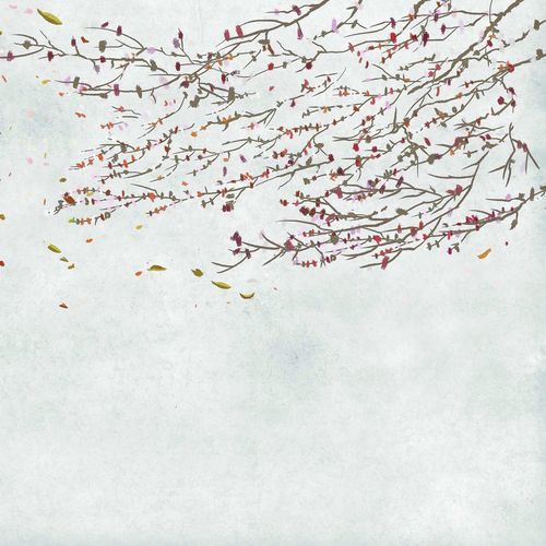 现代风格墙纸 - EOLIA SPRING - Coordonné - 乙烯基 / 自然图案 / 仿墙纸