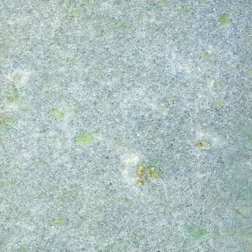 大理石天然石板 - CELESTE CINZIA - FURRER - 用于地面 / 室内装潢 / 绿色