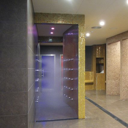 步入式淋浴 - MIST CORRIDOR - Inbeca Wellness Equipment S.L - 冷热式 / 金属 / 商用