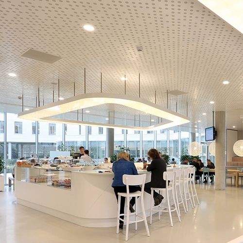金属吊顶 - Luxalon® Planks - Hunter Douglas Architectural - 方砖 / 板式 / 办公室