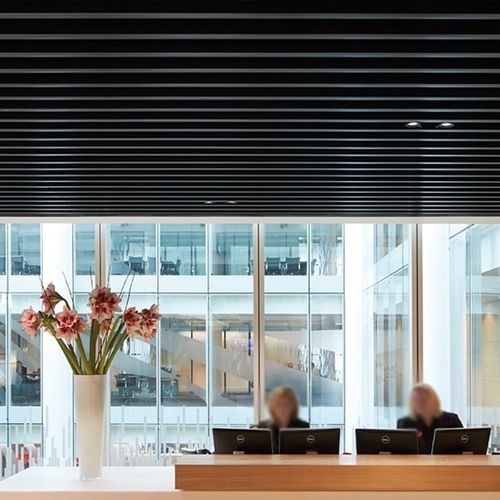 钢声障板 - Luxalon® Tavola™ Straight - Hunter Douglas Architectural - 天花板 / 长方形 / 装饰
