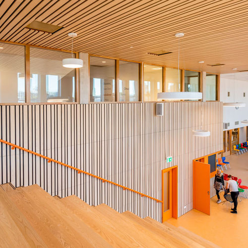 木质砌面 - Derako&reg; Veneered Linear Wall - Hunter Douglas Architectural - 用于室内墙 / 夹式 / 现代风格