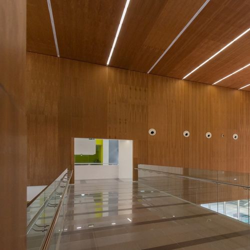 声学墙面材料 - Derako® Veneered Panels Wall - Hunter Douglas Architectural - 用于室内 / 木制贴皮 / 光滑