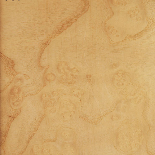 木质贴面 - ASH BURL - Decospan - 用于家具 / 面板 / 室内装潢