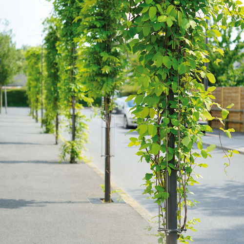 植物支架 - BABYLONE - AREA