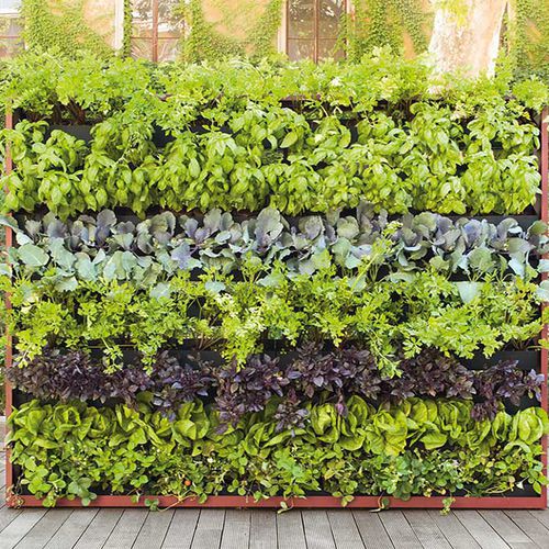 彩绘金属格架 - GREENERY - PAOLA LENTI