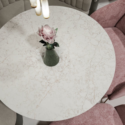 Silestone®材质桌台面 - Rivière Rose - Cosentino/赛丽石 - 白色