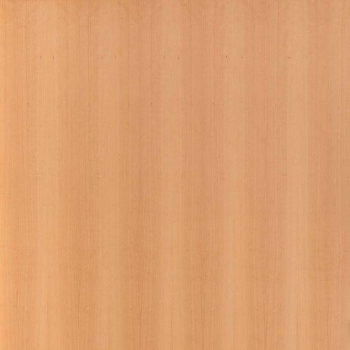壁挂护墙板 - BEECH - PARKLEX International - 木制 / 层压板 / 布艺