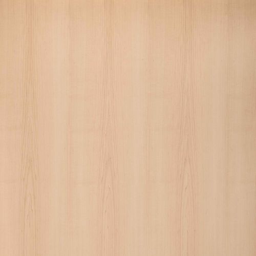 壁挂护墙板 - MAPLE - PARKLEX International - 木质 / 布艺 / 耐用