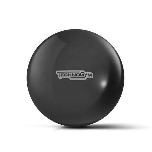 大型普拉提健身球 - WELLNESS - TECHNOGYM