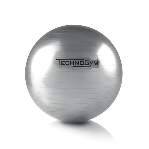 大型普拉提健身球 - WELLNESS HOME - TECHNOGYM