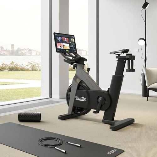 斜躺健身单车 - TECHNOGYM - 户外 / 商用 / 用于健身路径