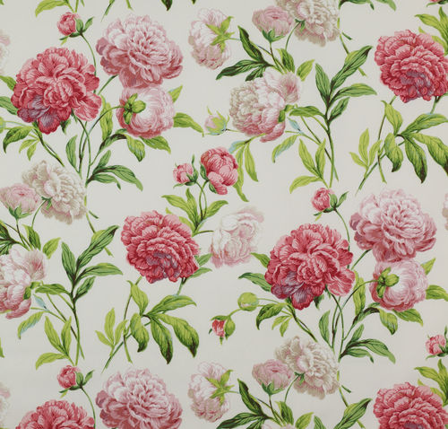 室内装饰面料 - SUMMER PALACE : PEONIES - Colefax & Fowler - 花朵图案 / 棉质